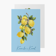 Zaproszenie, Lemons